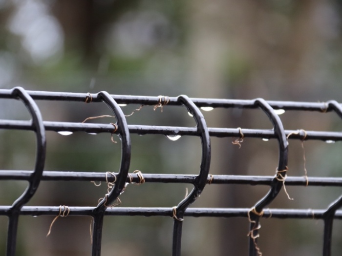 メッシュフェンスとネットフェンスの正しい選び方 予備知識を持って自分で選択しよう 外構リフォームなび